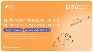 Выбираем поводок: какие они бывают и чем отличаются