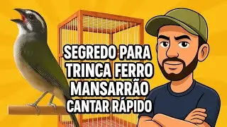 SECRET TO TRINCA FERRO MANSARRÃO SING FAST
