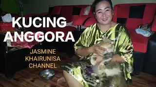 KUCING ANGGORA 💝  HANGAT DI PELUKAN 💓  DASTER SATIN LICIN MAMA 😺