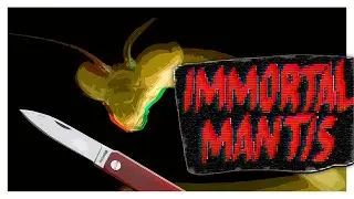 Пиксельный Хоррор с интересной историей // Immortal Mantis / все концовки //