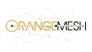 Orange Mesh Logomotion