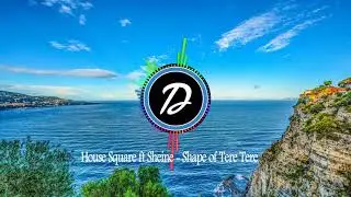 House Square ft Sheine - Shape of Tere Tere
