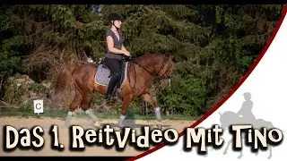 Das 1. Reitvideo von Tino & mir