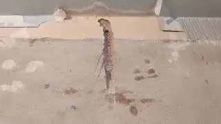 Электрика двушки
