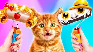 Kediye Minik Bir Ev Yaptık! Zookeeper Minik Yavru Kediyi Kurtarıyor!