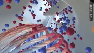 Particle Swirler Simulation in Augmented Reality