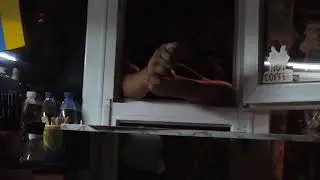 Для Алкаш ТВ.Конченый алкаш.