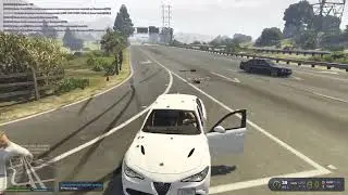 дм Trim