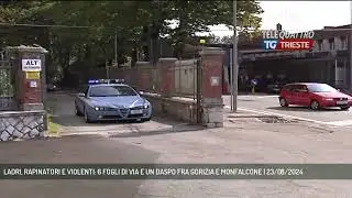 LADRI, RAPINATORI E VIOLENTI: 6 FOGLI DI VIA E UN DASPO FRA GORIZIA E MONFALCONE | 23/08/2024