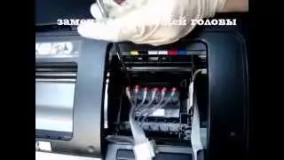 Обслуживание и ремонт принтера Epson 1410