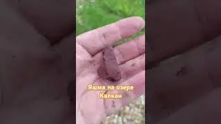 ЯШМА НА ОЗЕРЕ КАЛКАН #автотуризм #mountains #природа #яшма