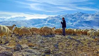 Tarık Kara - Ayrılığa Türkü (Nerdesin) NETTE İLK
