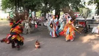 Wuauquikuna у Эрмитажа