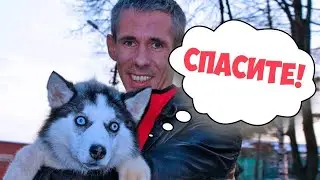 ЛУЧШИЕ ПРИКОЛЫ АПРЕЛЬ 2021 / РЖАКА ДО СЛЕЗ / ПРОЙДИ ТЕСТ НА ПСИХИКУ