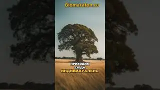 Как понять мир: Прочувствуйте его течение и найдите свое место