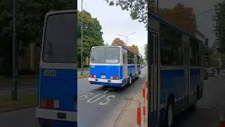 Ikarus 260, MPK Kraków #autobusy #buses #ikarus #krakow #oldtimer