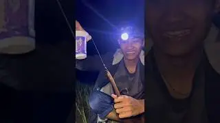 Mancing belut ketemu lubang lele lembat #mancing #petualang #ikan