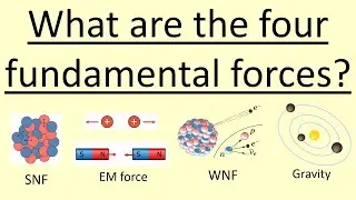 5.10 What are the four fundamental forces
