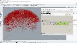 Anemone in Grasshopper: Learn how to make loops within Grasshopper