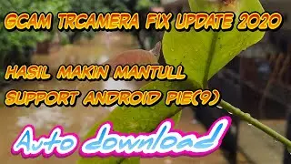 Gcam TRcamera Reborn v5 fix update 2020 | TRcamera Reborn v5 deep_end_aux_version