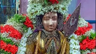 THIRUVALI-THIRUNAGARI SRI THIRUMANGAI AZHWAR AADI MAASA KARTHIGAI PURAPPADU