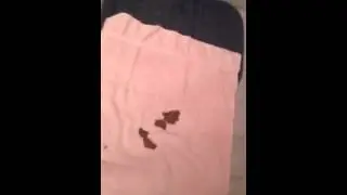 Poop prank on myself