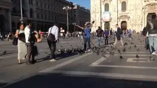 Piccioni sulla piazza del Duomo