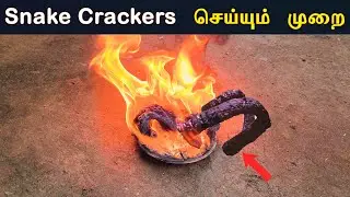 How to make Snake Crackers at Home🔥