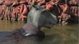 Tuhaf Filmler: Hayvanların Sessizliği | Hors Pistes: Silence of the Animals
