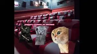 я и фильм#котики #malinkaplay2468 #интересно