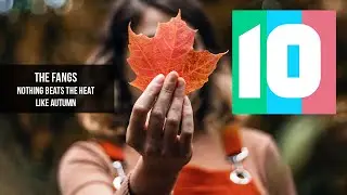 The Fangs - "Nothing Beats the Heat Like Autumn" (Indie Pop/Rock Feature)