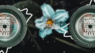 ELSound - 5 AM ( Calvin Harris ft Tinnashe )