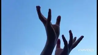 🏵️🦄🌼✨🌸