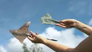 "Как рождается скульптура ПРОСТРАНСТВО - этапы создания ландшафтных арт-объектов"