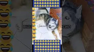 Банка тушенки🤣 #юмор #live #прикол #тикток #топ #пранк #лайк #смех