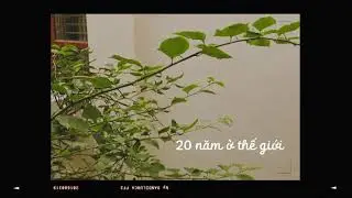 20 năm ở thế giới || cover
