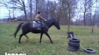 Pitrov
