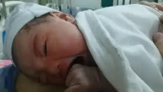 Just born (10 minutes old)