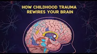 The Shocking Way Your Childhood Still Controls You (Psychology Explained)