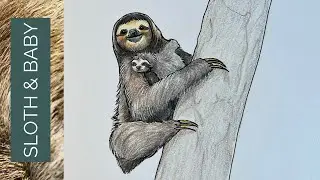 This mother and baby SLOTH drawing is the cutest!