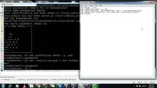 11. (LINUX) Password less authentication in Linux server steps by step