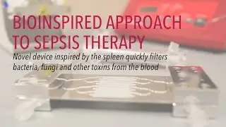 Wyss Bioinspired Approach to Sepsis Therapy