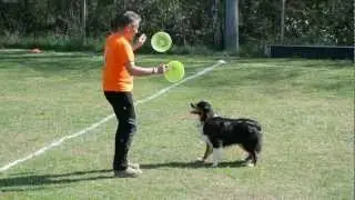 Disc Dog Spilimbau Bianca e Stefano 01-04-2012