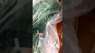 США.🇺🇸 Закупка любимыми продуктами в магазине Родина 🛒🛍️ 