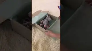 Made in Ukraine