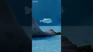 Ghost Seal Mukbang #000 #SEALOOK #shorts