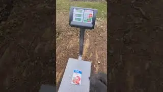 Весы до 300 кг проверено 👌 год как 👍из Озона 👍