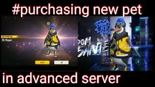 #Purchasing Mr. Waggor. In advanced server