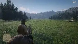 Bear protects food(Red Dead Redemption 2)