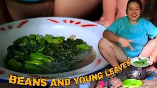 Fresh From the Garden! Spicy Beans and Leaves Recipe 